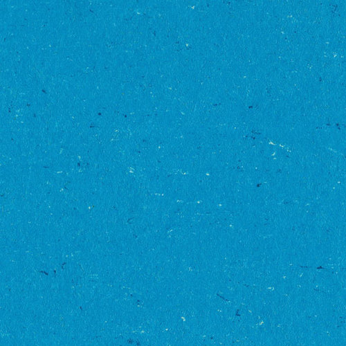 0123 Poppy Blue